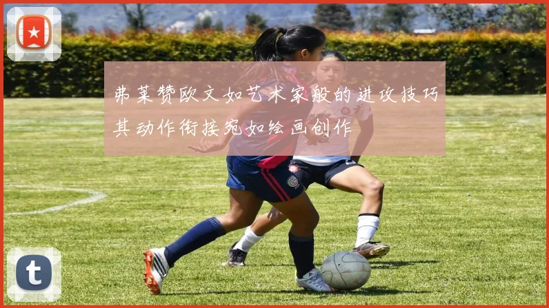 弗莱赞欧文如艺术家般的进攻技巧其动作衔接宛如绘画创作